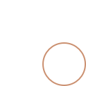 NGO-img-26 ring-graphic-2