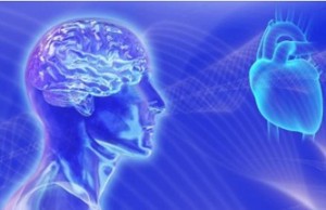 brain-heart-intuition-the-b-spot