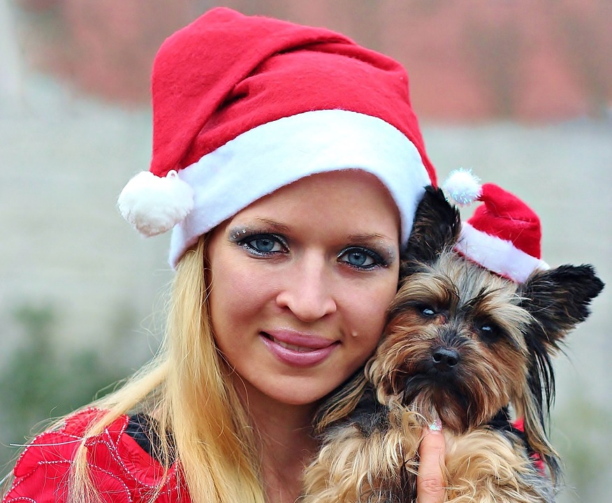 pet sitter