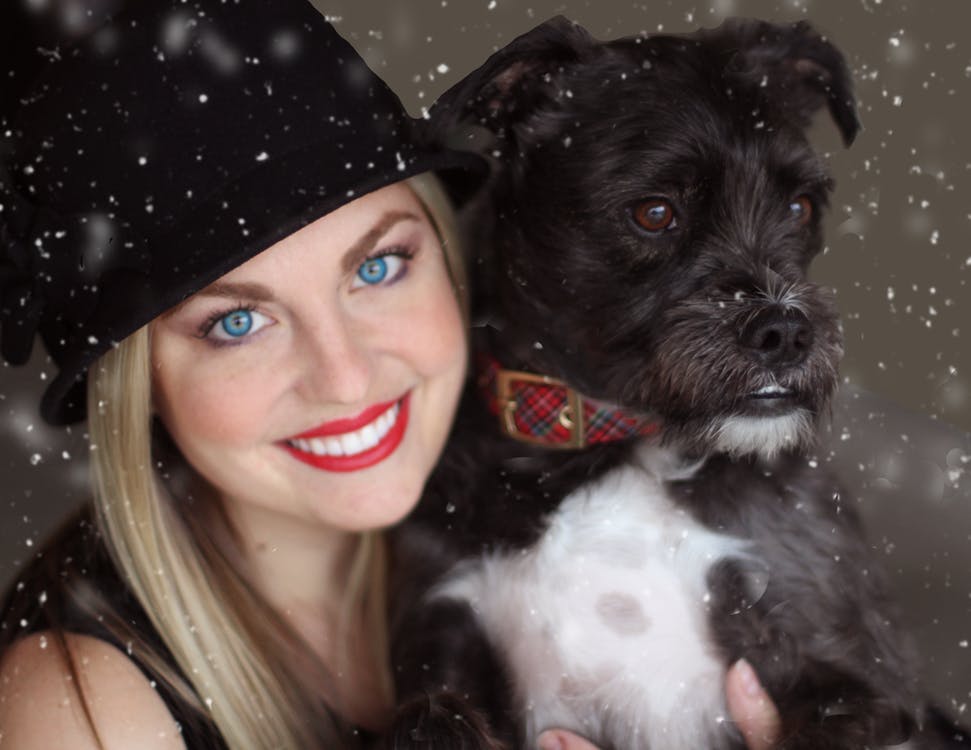 pet sitter