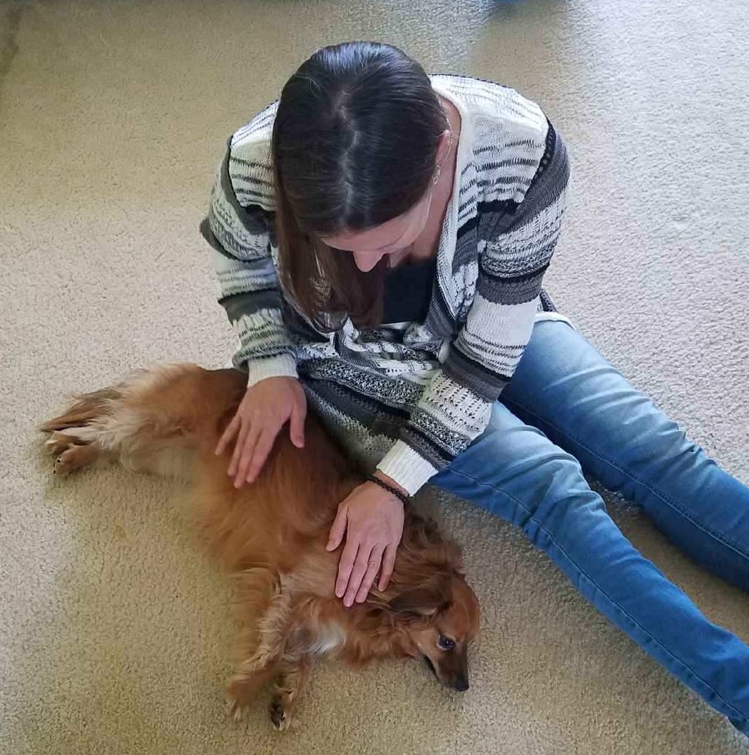 Reiki Animal Healing From The Zen Pet