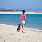 pet sitter