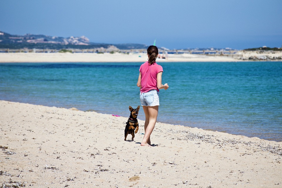 pet sitter