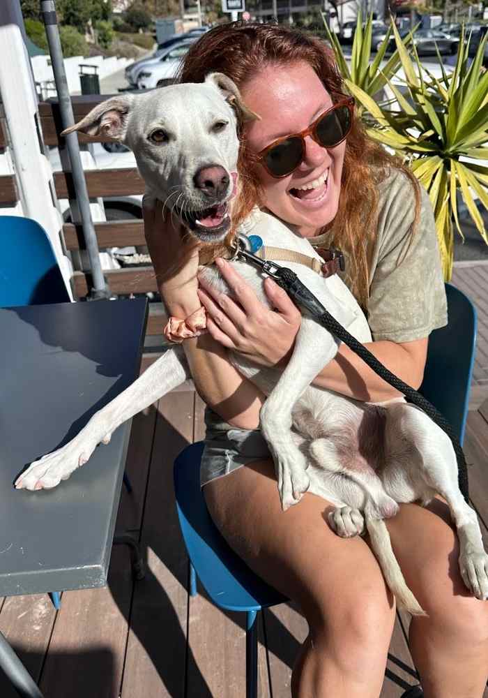Zen Pet Dog Walker Team Member