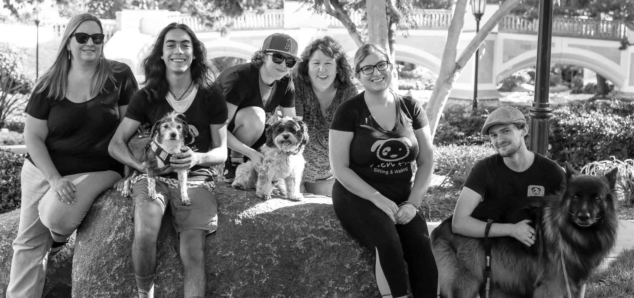 Zen Pet Dog Walking Team